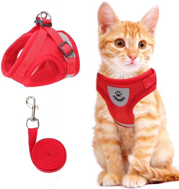 PurrStride™ | Adjustable Luminous Cat Harness – Breathable Freedom for Felines