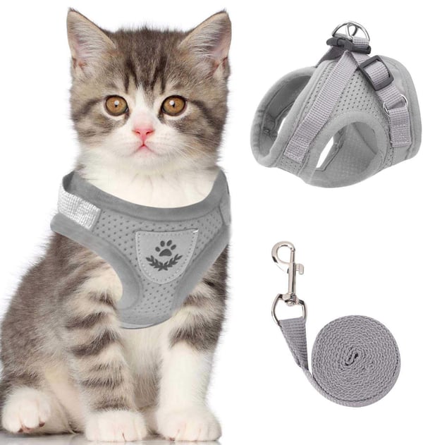 PurrStride™ | Adjustable Luminous Cat Harness – Breathable Freedom for Felines