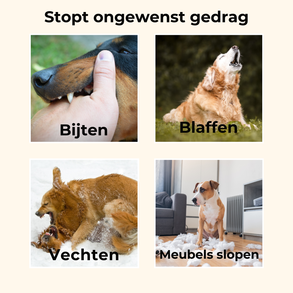 Bark Silence Pro™ | Stopt geblaf en ongewenst gedrag