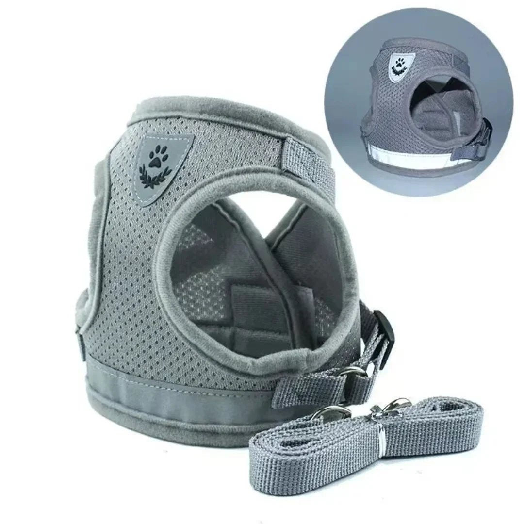 PurrStride™ | Adjustable Luminous Cat Harness – Breathable Freedom for Felines