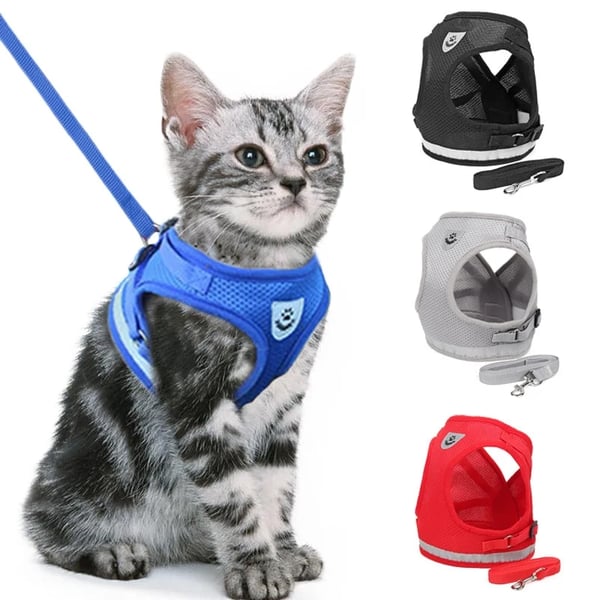 PurrStride™ | Adjustable Luminous Cat Harness – Breathable Freedom for Felines