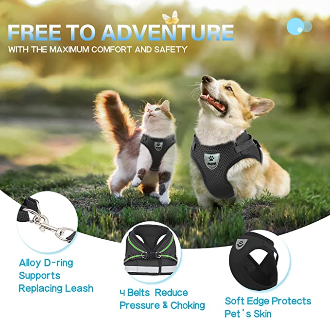 PurrStride™ | Adjustable Luminous Cat Harness – Breathable Freedom for Felines