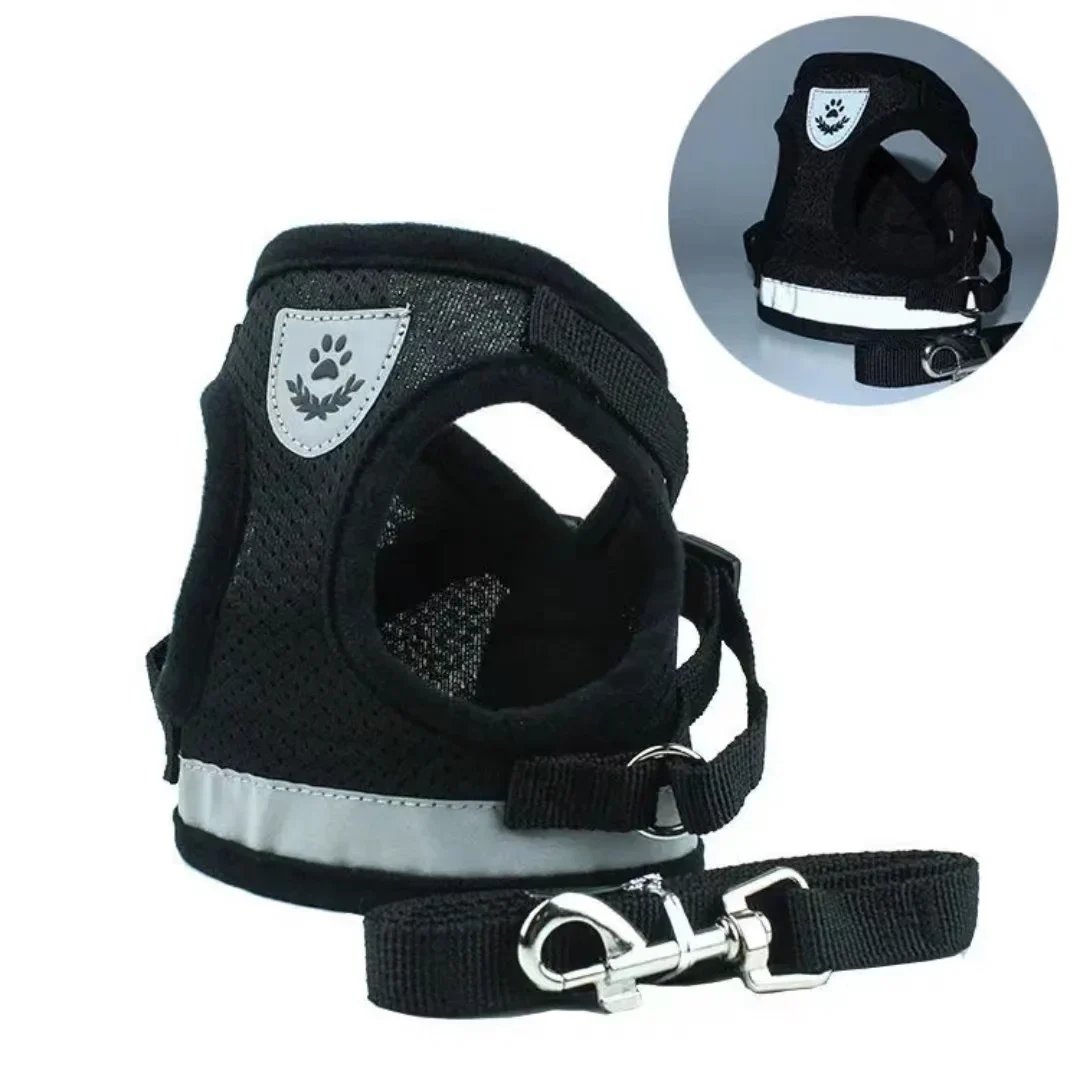PurrStride™ | Adjustable Luminous Cat Harness – Breathable Freedom for Felines