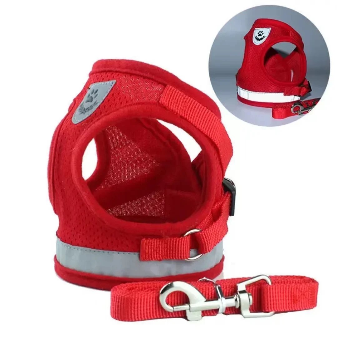 PurrStride™ | Adjustable Luminous Cat Harness – Breathable Freedom for Felines