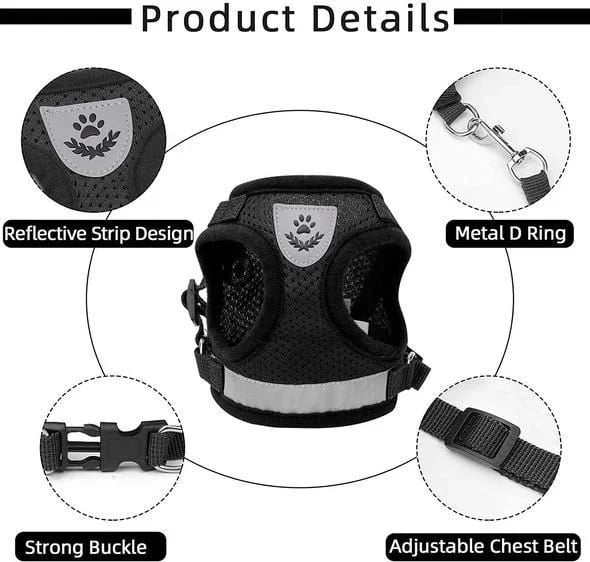 PurrStride™ | Adjustable Luminous Cat Harness – Breathable Freedom for Felines