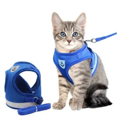 PurrStride™ | Adjustable Luminous Cat Harness – Breathable Freedom for Felines
