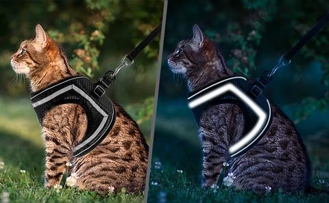 PurrStride™ | Verstelbaar lichtgevend kattentuigje – Ademende vrijheid voor katten