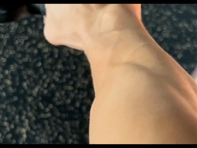 GripFlex™ | Hand Exerciser – Strengthen & Rehabilitate